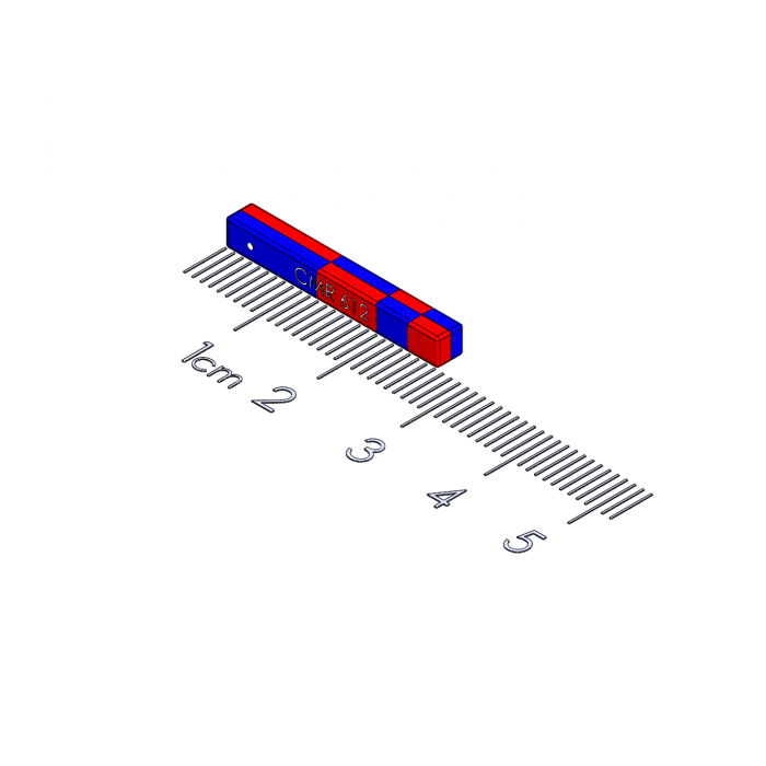 Model of Polymagnet # 1000612