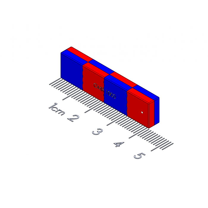 Model of Polymagnet # 1001000.